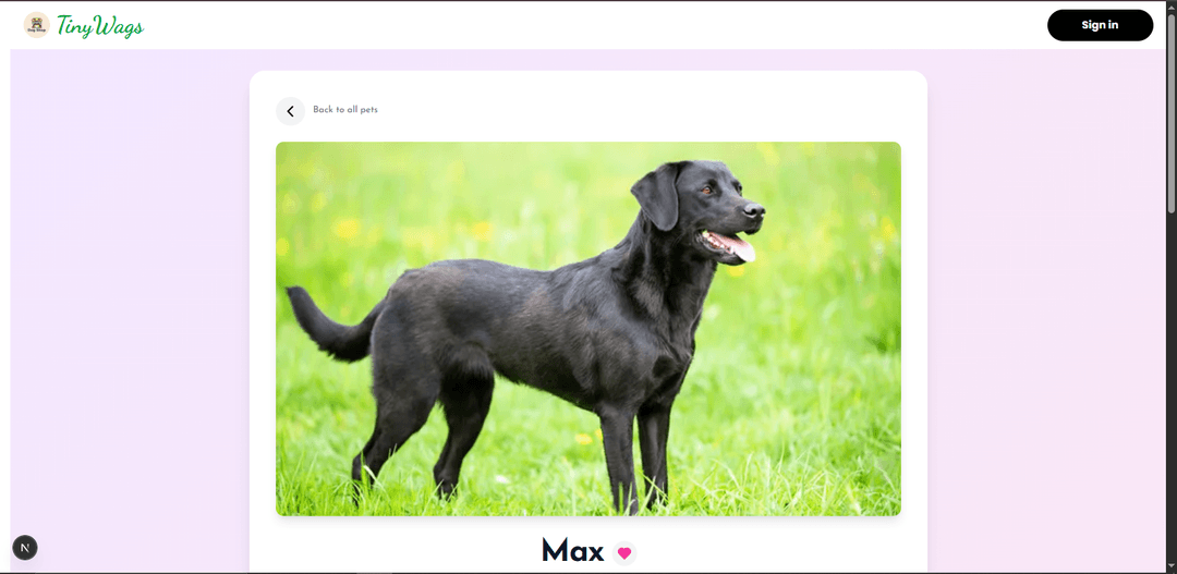 TinyWags project screenshot 2