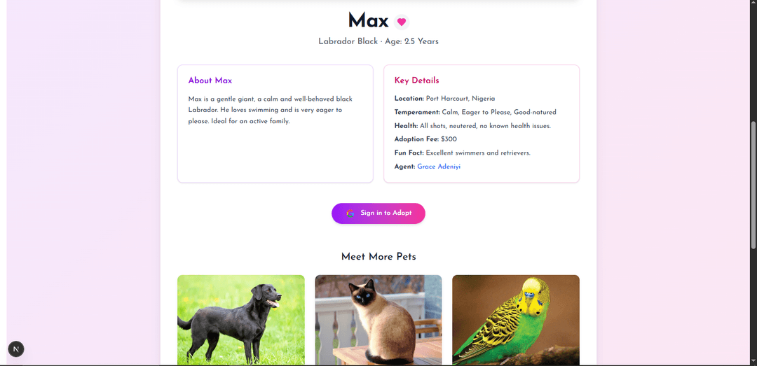 TinyWags project screenshot 5